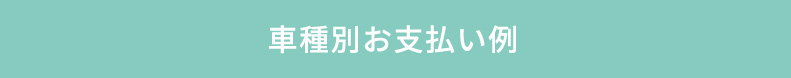 車種別お支払い例